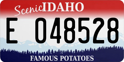 ID license plate E048528