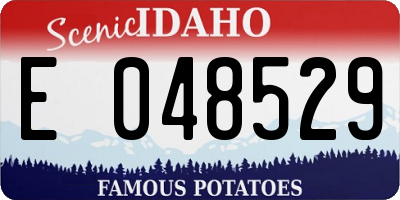ID license plate E048529