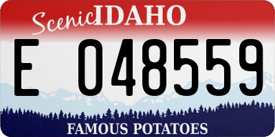 ID license plate E048559
