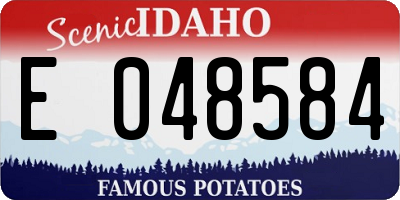 ID license plate E048584