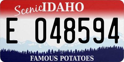 ID license plate E048594