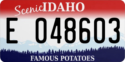 ID license plate E048603