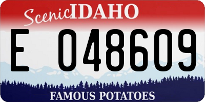 ID license plate E048609