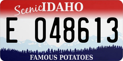 ID license plate E048613