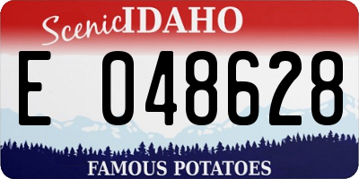 ID license plate E048628