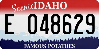 ID license plate E048629