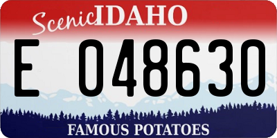 ID license plate E048630