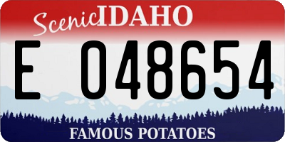 ID license plate E048654