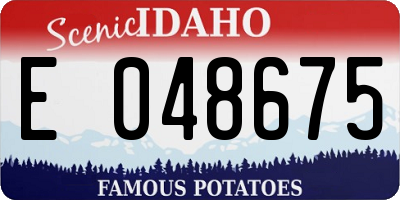 ID license plate E048675