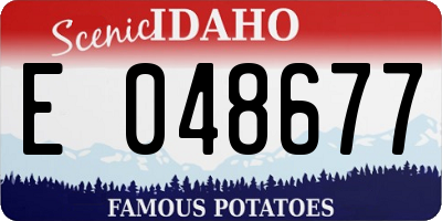 ID license plate E048677
