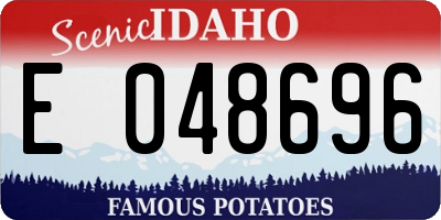 ID license plate E048696