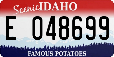 ID license plate E048699