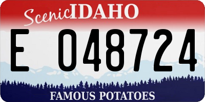 ID license plate E048724