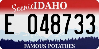ID license plate E048733
