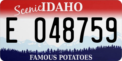 ID license plate E048759