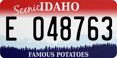 ID license plate E048763