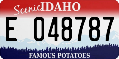 ID license plate E048787