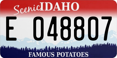 ID license plate E048807