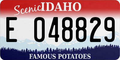 ID license plate E048829