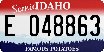 ID license plate E048863
