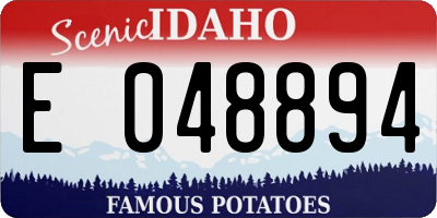 ID license plate E048894
