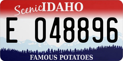 ID license plate E048896