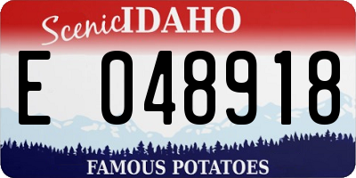 ID license plate E048918