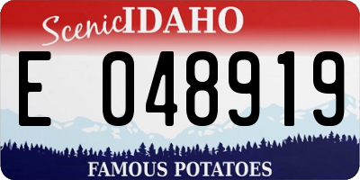 ID license plate E048919