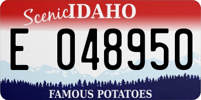 ID license plate E048950