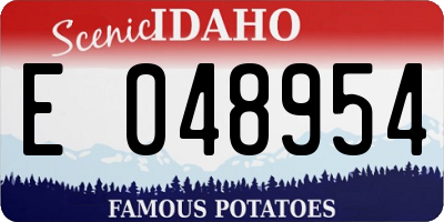 ID license plate E048954