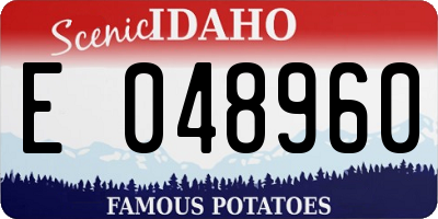 ID license plate E048960