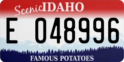 ID license plate E048996