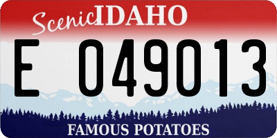 ID license plate E049013