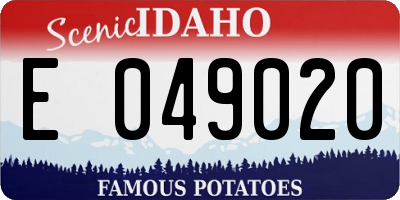 ID license plate E049020