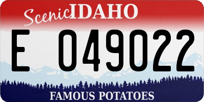 ID license plate E049022