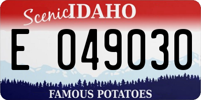 ID license plate E049030