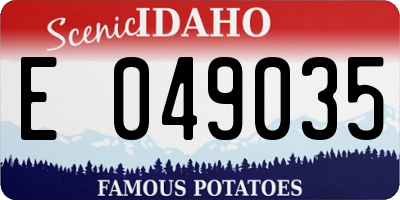 ID license plate E049035