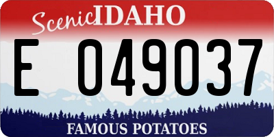 ID license plate E049037