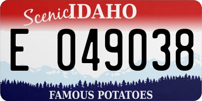 ID license plate E049038