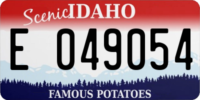 ID license plate E049054