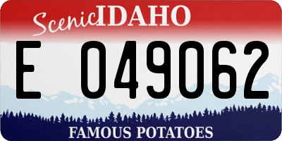 ID license plate E049062