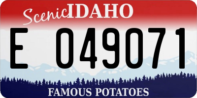 ID license plate E049071