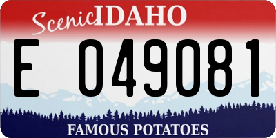 ID license plate E049081