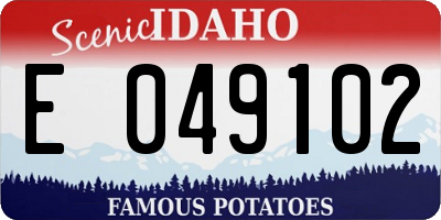 ID license plate E049102