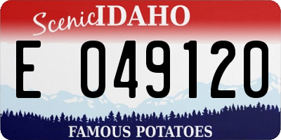 ID license plate E049120