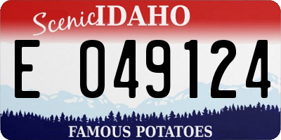 ID license plate E049124