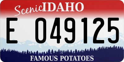 ID license plate E049125