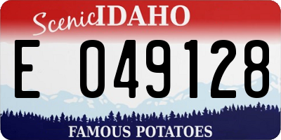 ID license plate E049128