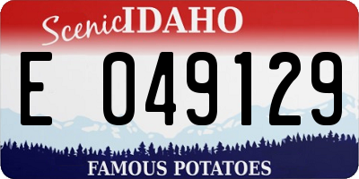 ID license plate E049129