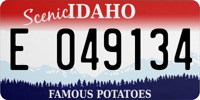 ID license plate E049134
